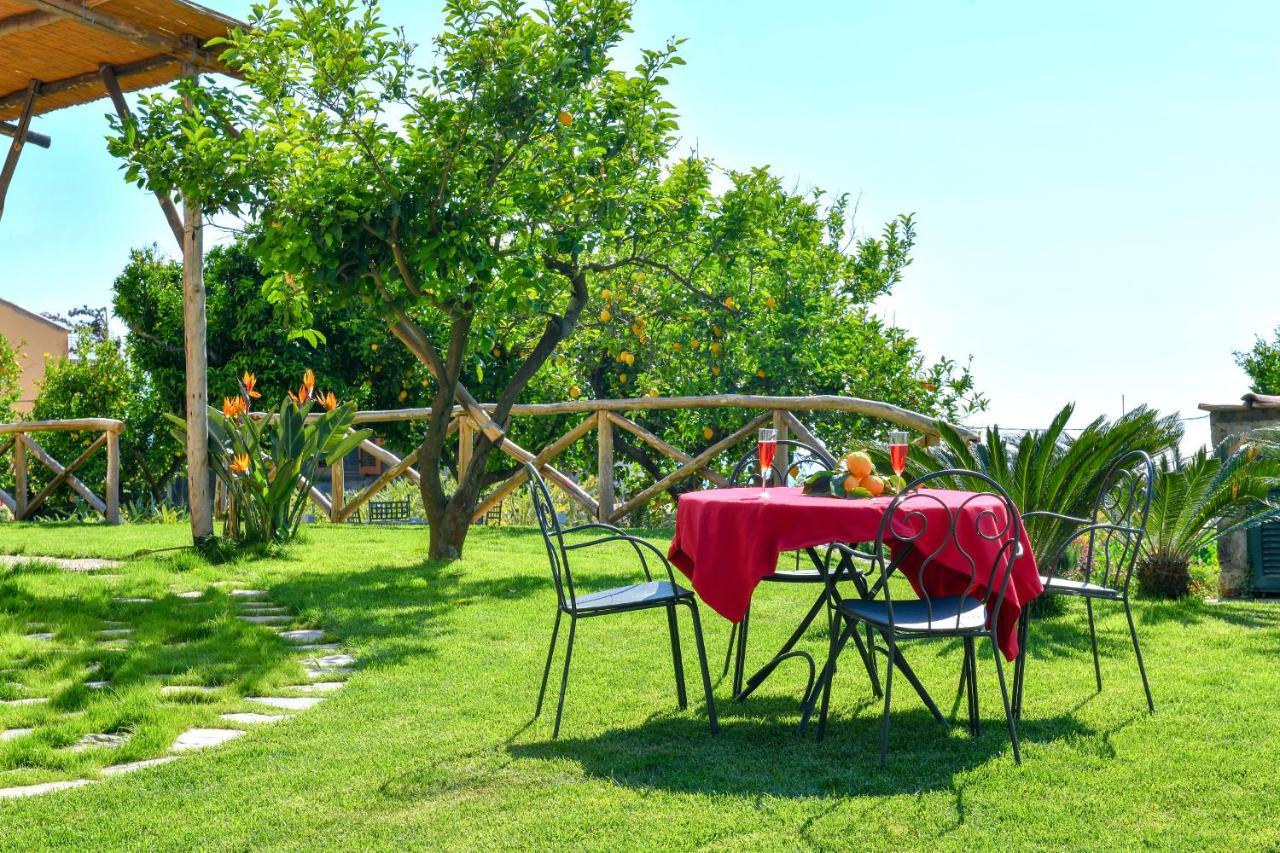 La Ciucciara Holiday Homes Massa Lubrense Bagian luar foto