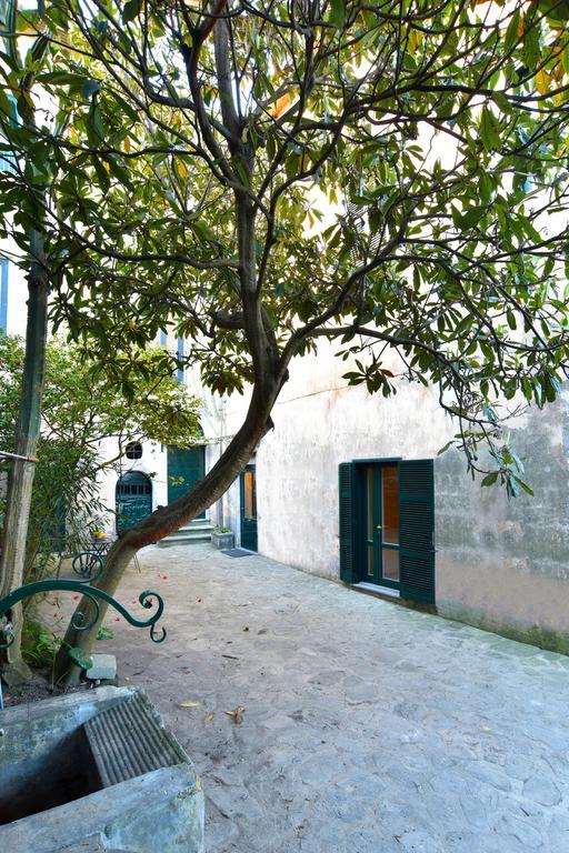 La Ciucciara Holiday Homes Massa Lubrense Bagian luar foto