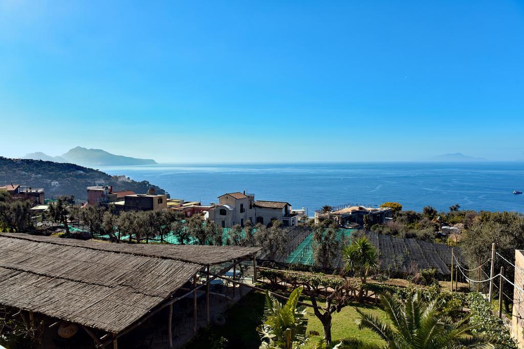 La Ciucciara Holiday Homes Massa Lubrense Bagian luar foto