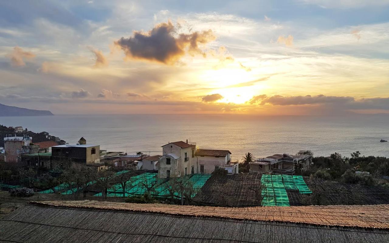 La Ciucciara Holiday Homes Massa Lubrense Bagian luar foto