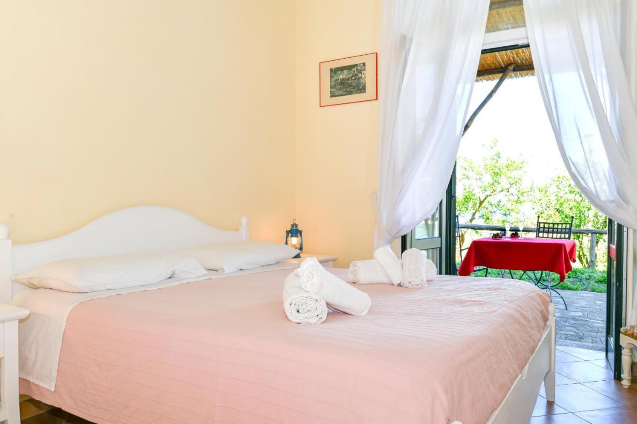 La Ciucciara Holiday Homes Massa Lubrense Bagian luar foto